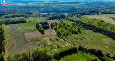 Plot of land in Vytautava, Lithuania