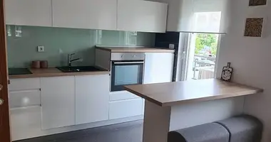 Wohnung 1 Schlafzimmer in Montenegro