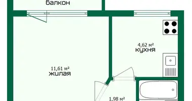 1 room apartment in Minsk, Belarus