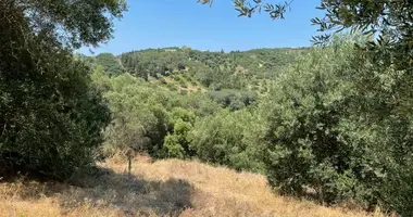 Grundstück in Afionas, Griechenland