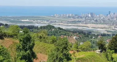 Участок земли в Тхилнари, Грузия
