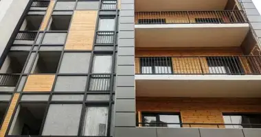 2 bedroom apartment in Tbilisi, Georgia