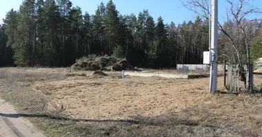 Plot of land in Slabadski sielski Saviet, Belarus