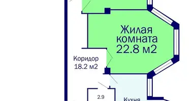 2 room apartment in Minsk, Belarus