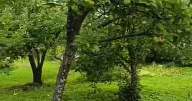 Działka w Anninskoe gorodskoe poselenie, Rosja
