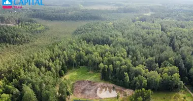 Plot of land in Labanoras, Lithuania