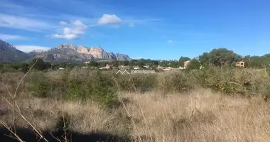 Appartement 1 chambre dans l Alfas del Pi, Espagne