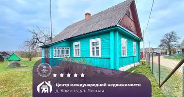 Дом в Камень, Беларусь