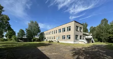 Commercial property 756 m² in Saltanovka, Belarus