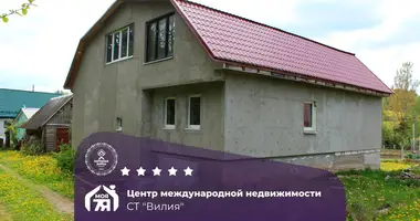 Haus in Lasanski sielski Saviet, Belarus