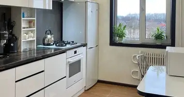 2 room apartment in Fanipol, Belarus