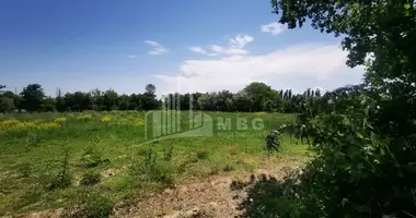 Plot of land in Georgia