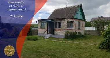 House in Piatryskauski sielski Saviet, Belarus