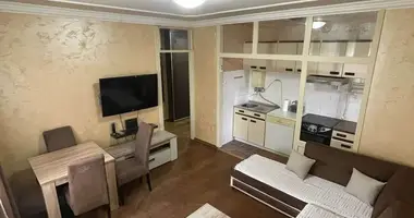 Apartamento 1 habitacion en Montenegro