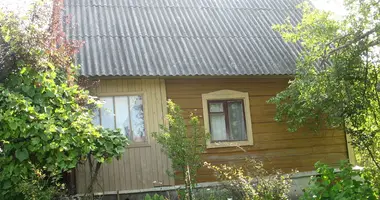 House in Piatryskauski sielski Saviet, Belarus