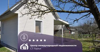 House in Dukorski selski Savet, Belarus