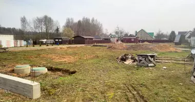 Dom w Dziamidavicki sielski Saviet, Białoruś