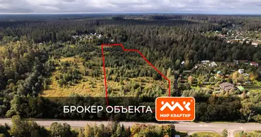 Plot of land in Sosnovskoe selskoe poselenie, Russia