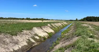 Parcela en Rukainiai, Lituania