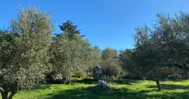 Участок земли в Likotinerea, Греция
