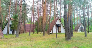 Commercial property 575 m² in Dauhinauski sielski Saviet, Belarus