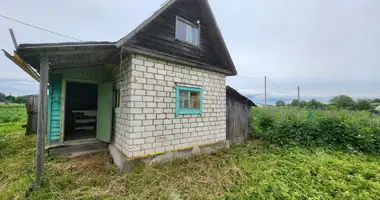 Haus 1 zimmer in Rabititsi, Russland