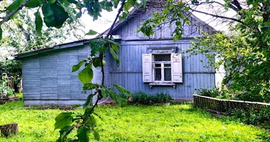 Haus in Homel, Belarus