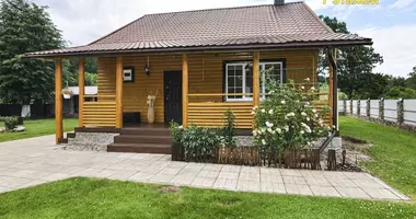 Dom w Naracki sielski Saviet, Białoruś