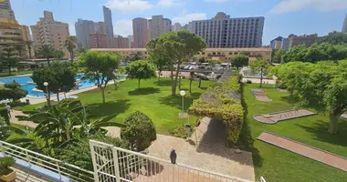 Apartamento 2 habitaciones en Benidorm, Španjolska