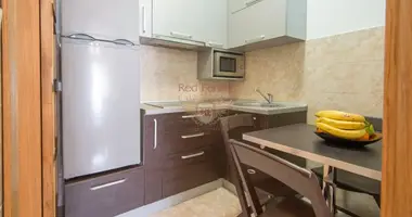 1 bedroom apartment in Montenegro