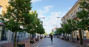 3 room apartment in Vilnius, Lithuania