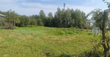 House in Rakauski sielski Saviet, Belarus