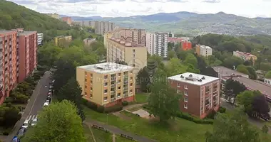 Apartamento 1 habitación en okres Usti nad Labem, República Checa