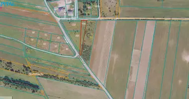 Plot of land in Grigaiciai, Lithuania
