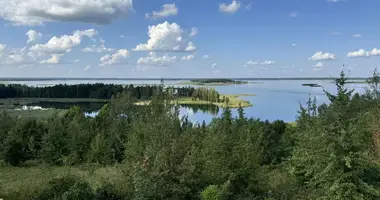 Casa en Miazanski siel ski Saviet, Bielorrusia