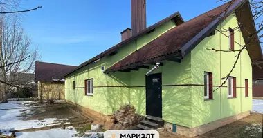 Cottage in Piatryskauski sielski Saviet, Belarus