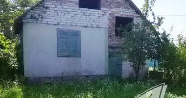 Maison dans Telminski sielski Saviet, Bélarus