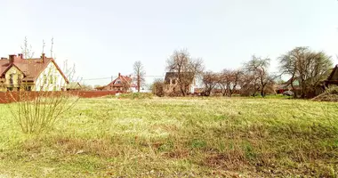 Grundstück in Zodzinski sielski Saviet, Weißrussland