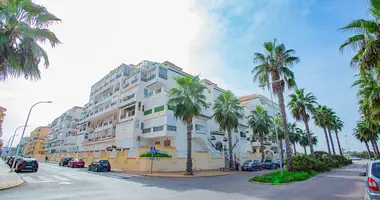 1 bedroom apartment in Torrevieja, Spain