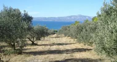 Plot of land in Markopoulo Oropou, Greece