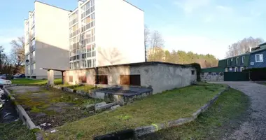 House in Druskininkai, Lithuania