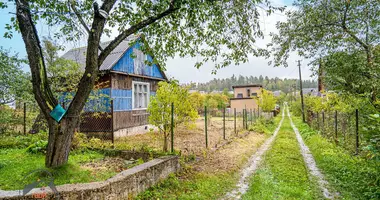 House in Lasanski sielski Saviet, Belarus