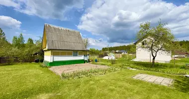 Haus in Zodzinski selski Savet, Belarus