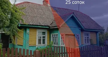 House in Krasnaje, Belarus