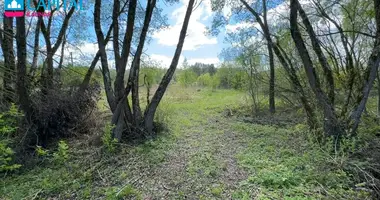 Działka w Dubiai, Litwa