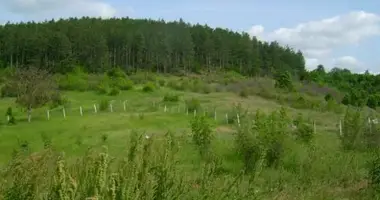 Plot of land in Prohod, Bulgaria