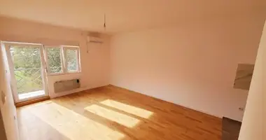 2 room apartment in Belgrade, Serbia