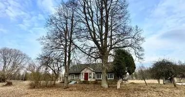 House in Rokiskis, Lithuania