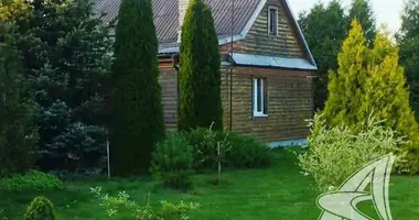 House in Lieninski sielski Saviet, Belarus