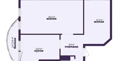 2 room apartment in Minsk, Belarus